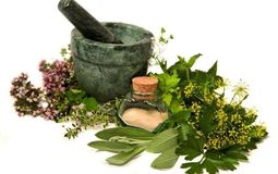 Фото: Народные средства для лечения олигоспермии